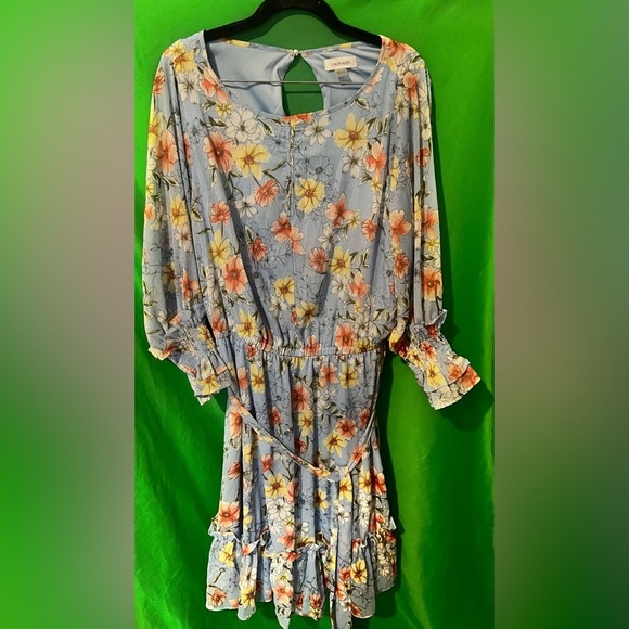 Calvin Klein Floral Blue Dress size 14W - Picture 2 of 9